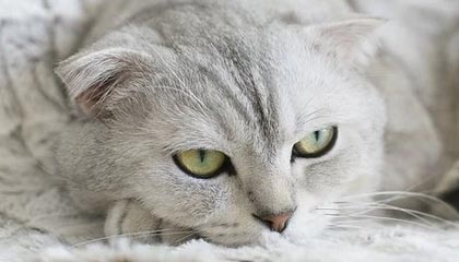 九游：用游戏连结你我，探索属于你的掌上世界